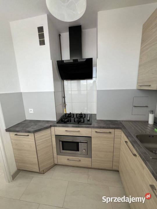 Do wynajęcia mieszkanie 2 pokojowe na Canaletta winda Wynajem Wrocław