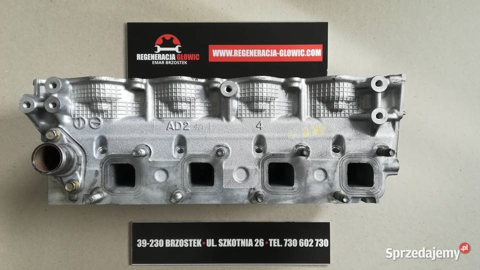 GŁOWICA Renault Nissan 25 DCI AD2 Cabstar Navara Silniki i osprzęt Brzostek