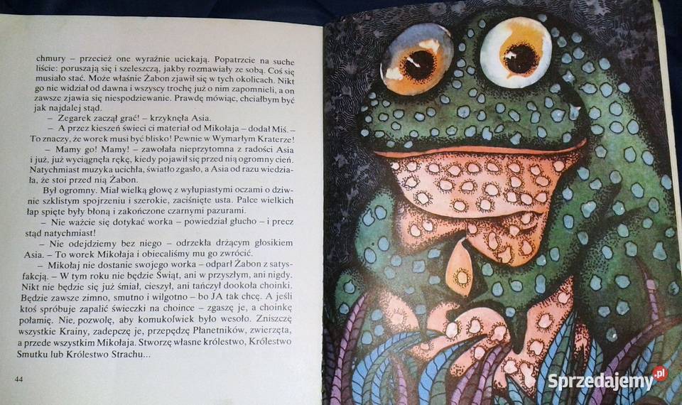 Gwiazdkowa przygoda Jolanta HartwigSosnowska Pozostałe Chełm sprzedam