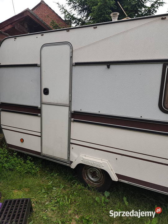 Bailey Senator 1 Tuczno
