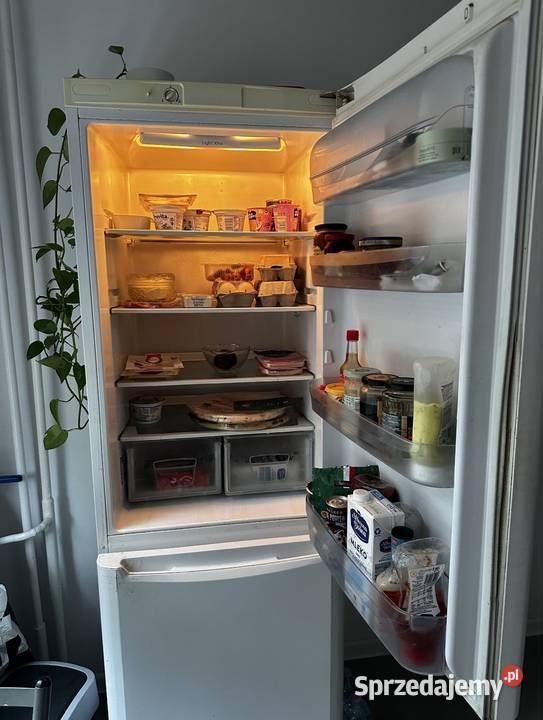 Lodówka ChłodziarkoZamrażarka Indesit BAAN 13L łódzkie Bełchatów sprzedam