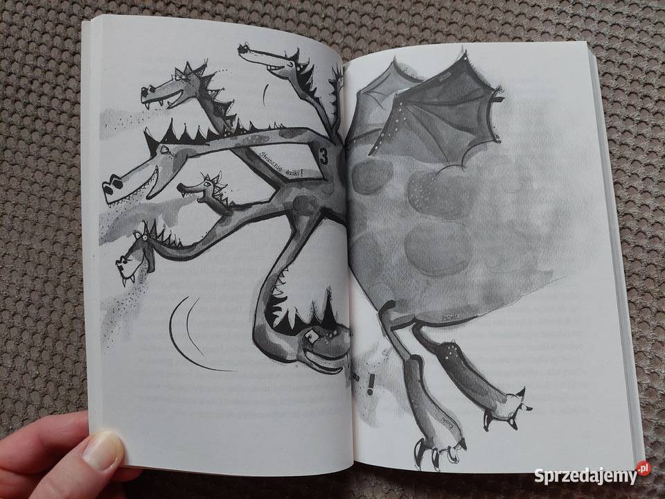 nowa Tajemnica srebrnych kielichów Brigitte małopolskie Kraków