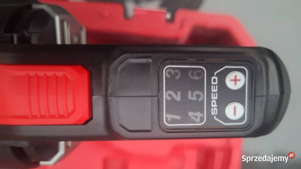 Piła szablasta Piły Płońsk