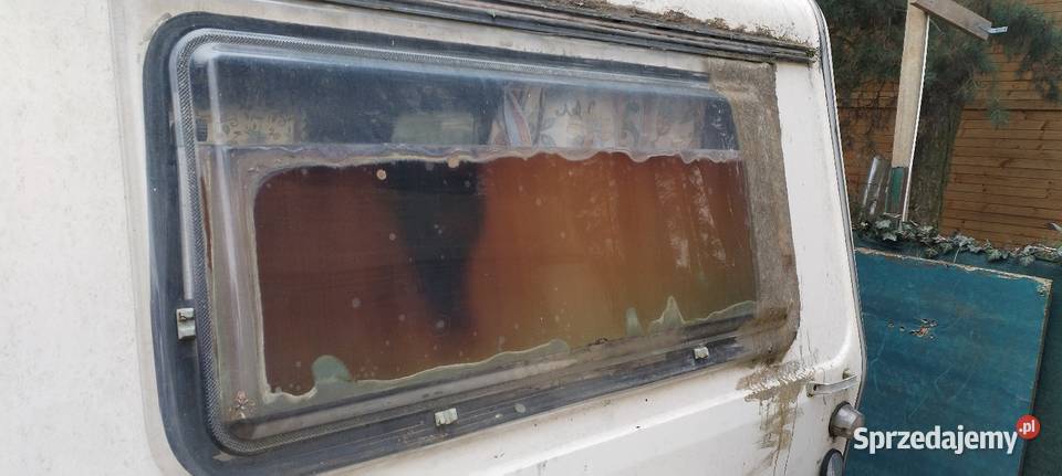 Niewiadów n126 zapiekanka