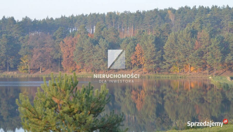Działka budowlana 4000 mkw widok na staw Wełmin lubuskie
