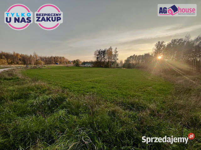 Grunt 2346m2 Pomlewo Kasztanowa 2346m2