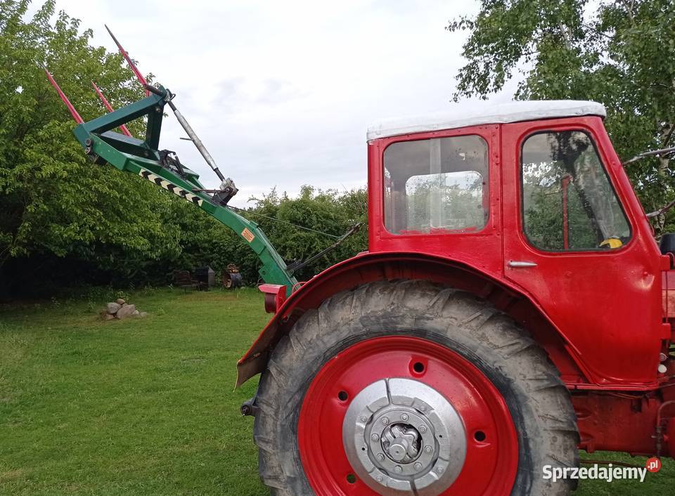 Traktor ciągnik MTZ 50 zarejestrowany Wersja MTZ Rusko