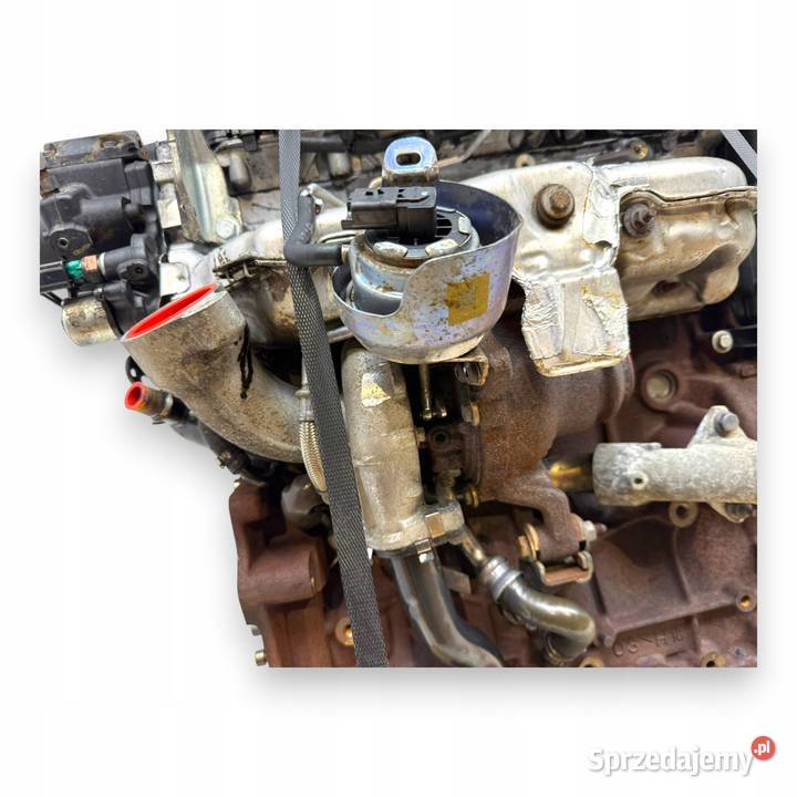 SILNIK RHH RH02 Peugeot RCZ 407 508 3008 5008 osobowe Chełm sprzedam