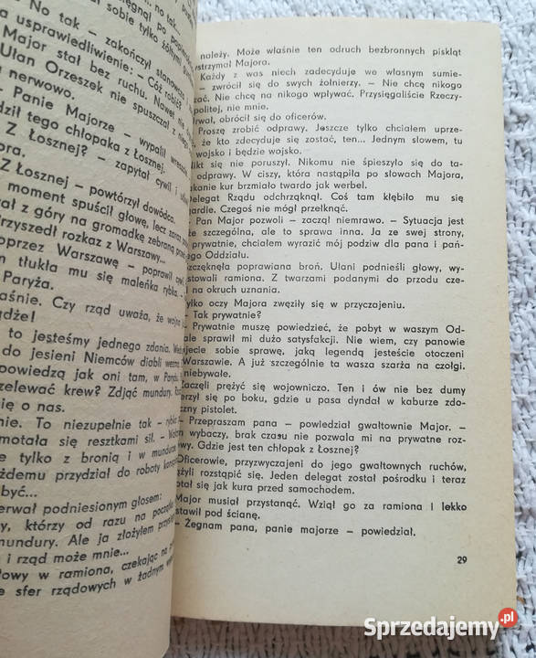 Chłopcy malowani Danuta ŚciborRylska Białystok