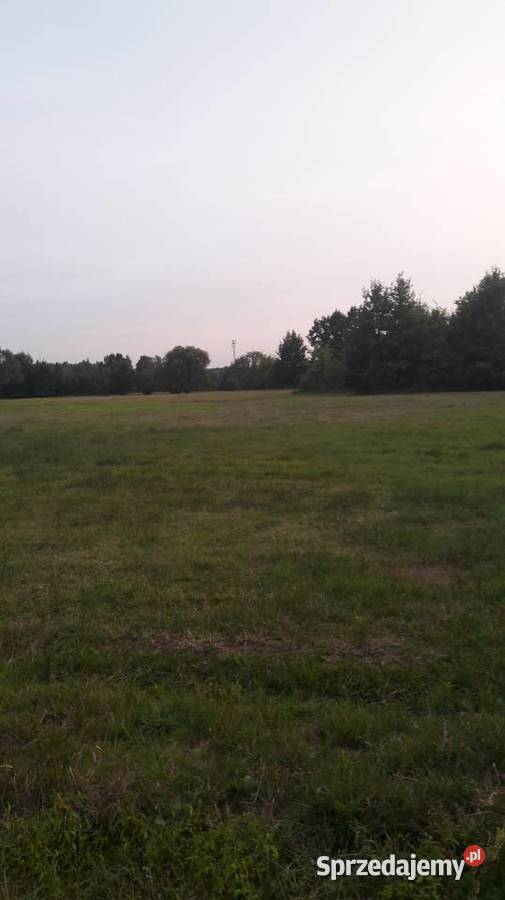 Duza działka 55000m2 sprzedam