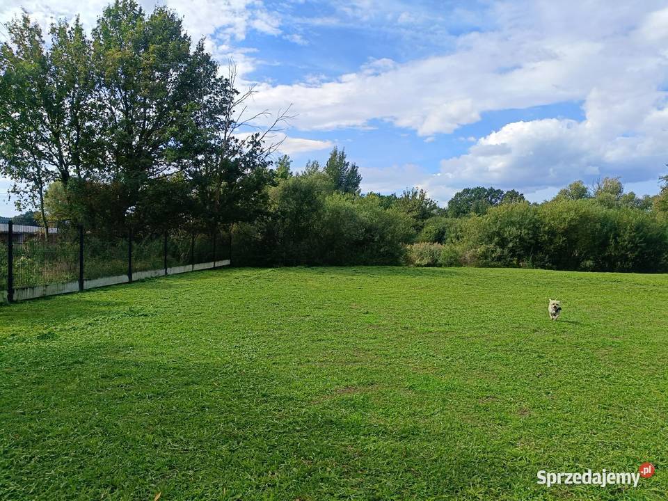 Działka rekreacyjna 10arów z linią brzegową 1000m2 Oława