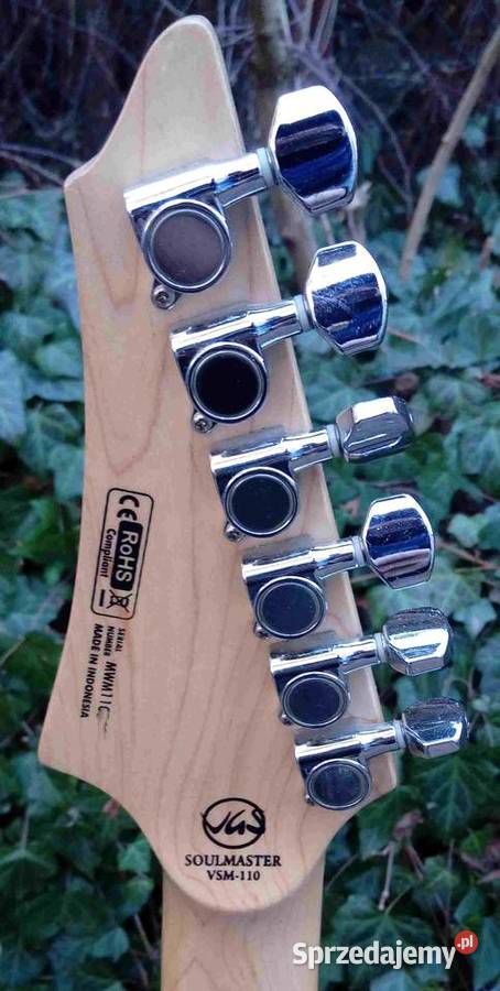 Gitara elektryczna VGS Soulmaster VSM110 Satin Tuszyn