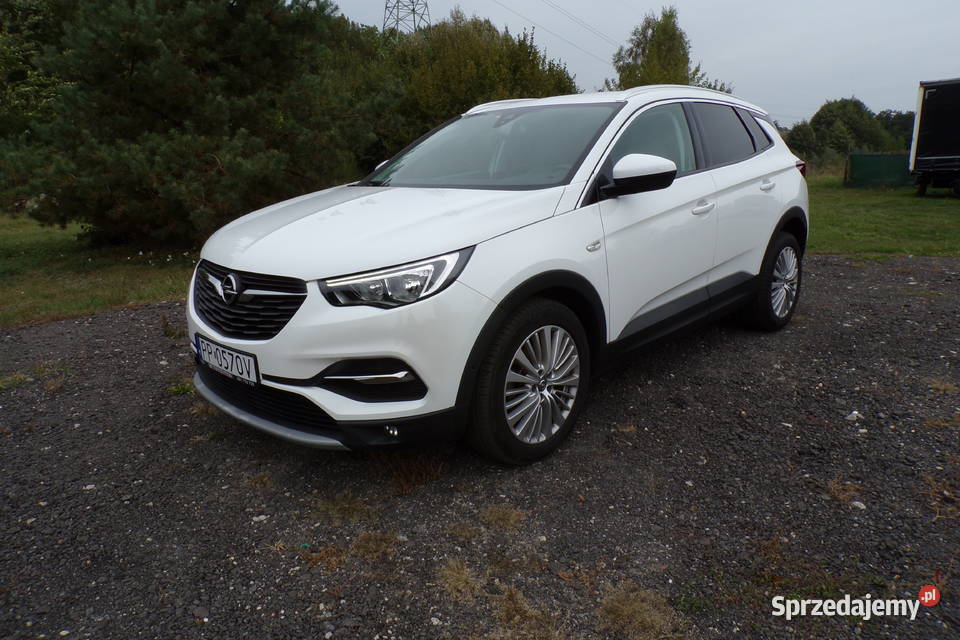 Opel Grandland X 20 CDTi 177 Automat nieuszkodzony wielkopolskie