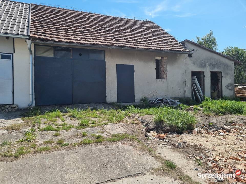 Dom wolnostojacy 250 m2 w Sarnowie k Toszka Sprzedaż śląskie Sarnów