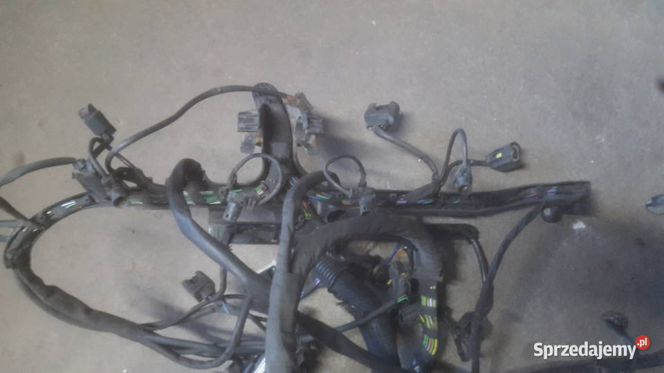 Wiązka silnika Mercedes Vito W639 22 Cdi Pozostałe