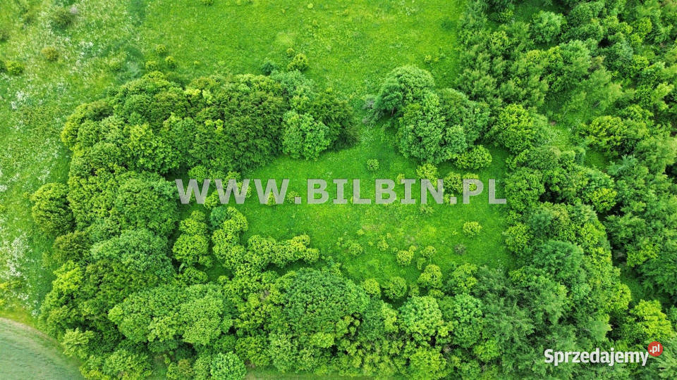 Działka 3001m2 Garbas Drugi