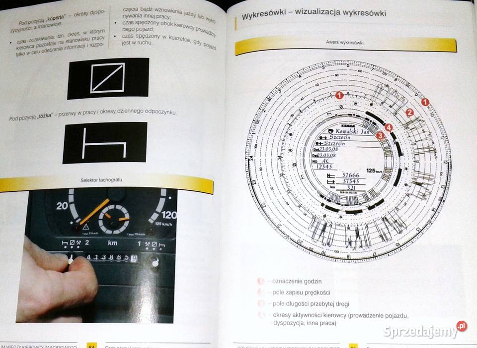 Kompendium wiedzy kierowcy zawodowego Marek Książki i Podręczniki Chełm
