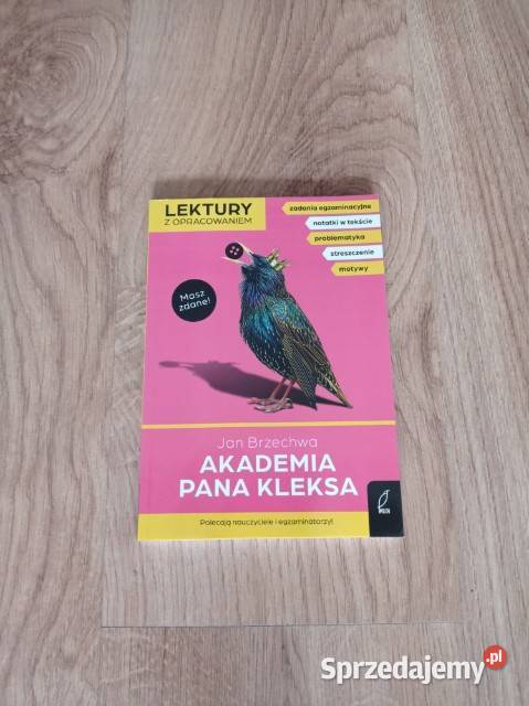 Akademia Pana Kleksa lektura z opracowaniem Rok wydania 2023 Chorzów