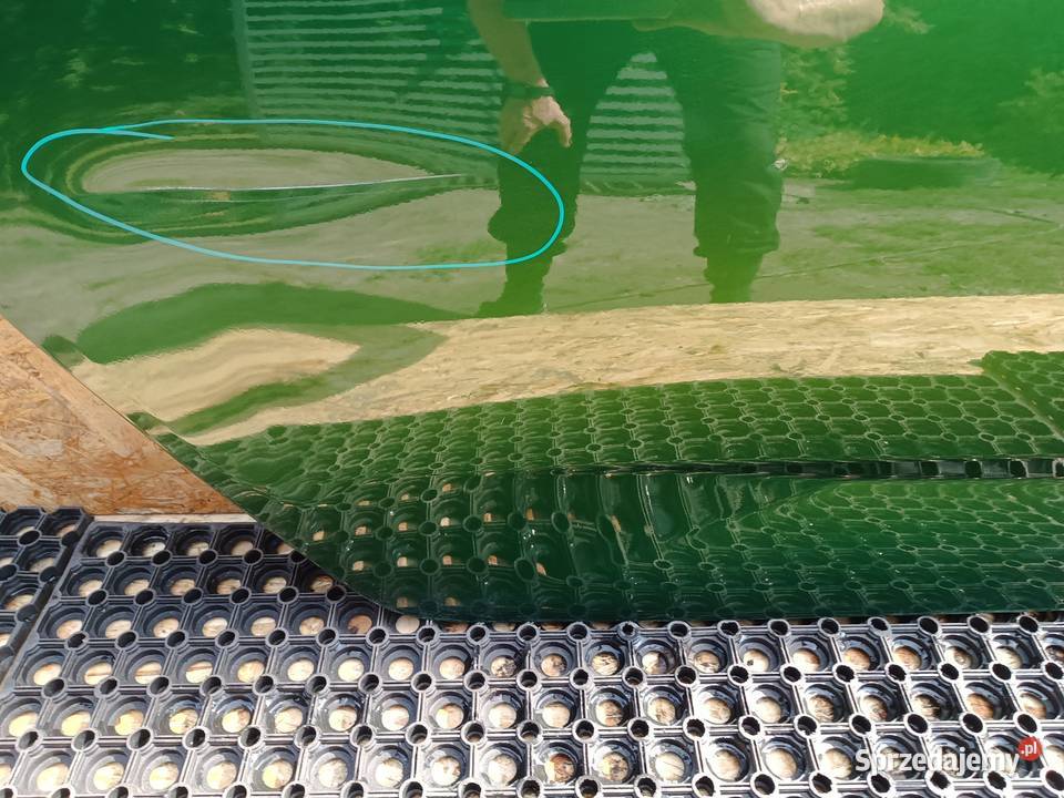 PEUGEOT 308 T9 HB DRZWI TYŁ PRAWY PRAWE Słowikowo