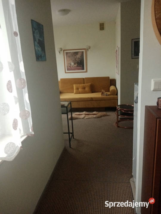 Artystyczne ceniących spokój Piętro 1 Warszawa