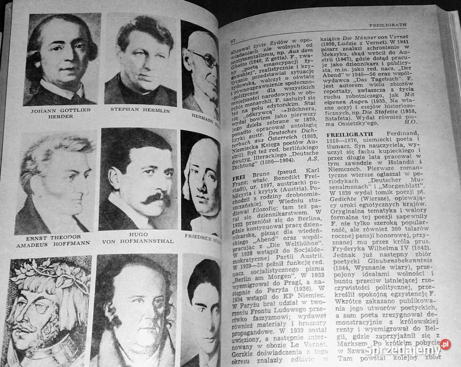 Mały słownik pisarzy niemieckich austriackich i Chełm sprzedam