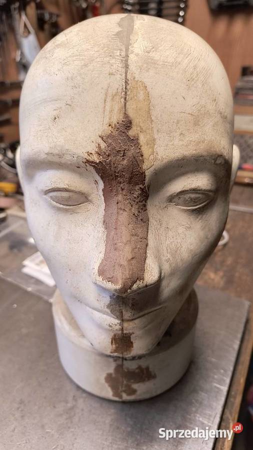 Model ludzkiej głowy Fryzjerstwo i kosmetyka Bielsko-Biała sprzedam