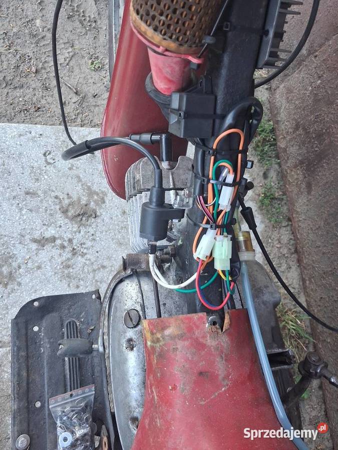 Jawka pancerka 50 Jawa mazowieckie