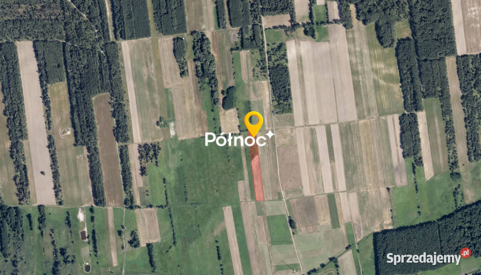 Łąka 8000m2 w Małaszewiczach Dużych Małaszewicze Duże