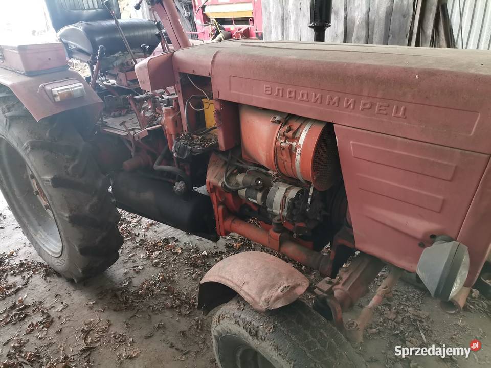 władimirec T25 podlaskie Augustów