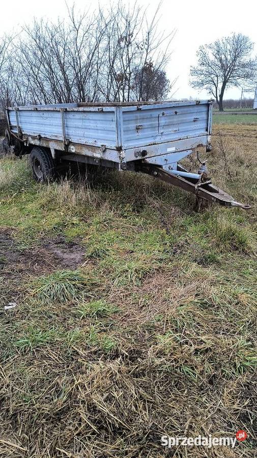 Rozrzutnik obornika czarnabiałystocka Wisznice