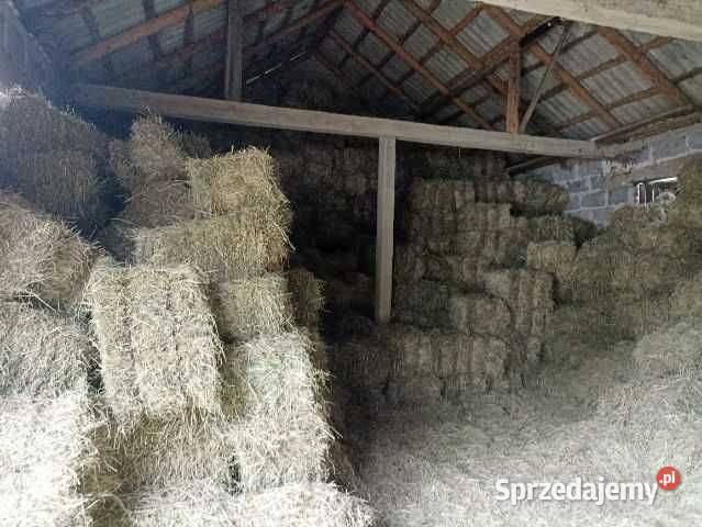 Siano w kostkach Świebodzin