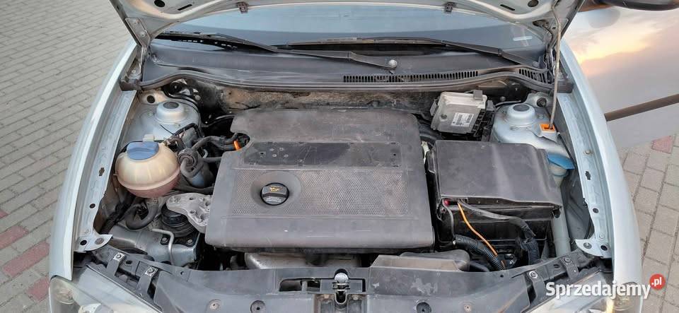 Seat Ibiza III 14 Benzyna Motoryzacja Gostynin