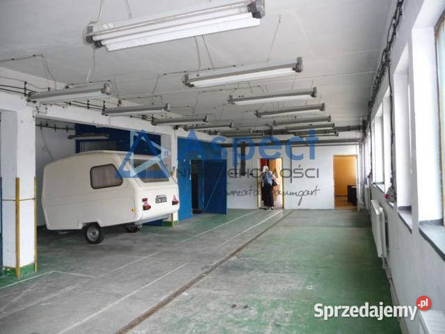 wynajmu Szczecin sprzedam