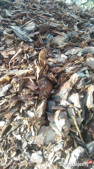 KORA sosnowa ZIEMIA ogrodowa TORF Łódź Łódź