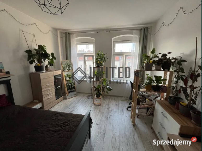 Długiej RozkładPiwnica Wrocław sprzedam