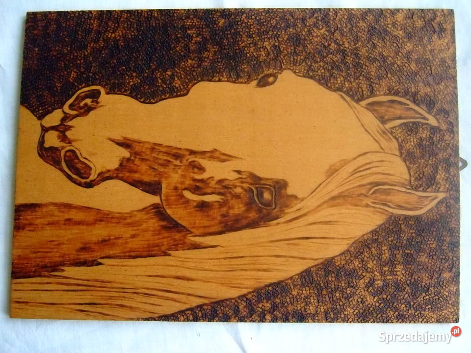 Głowa konia grafika wypalana drewno sklejka Łódź