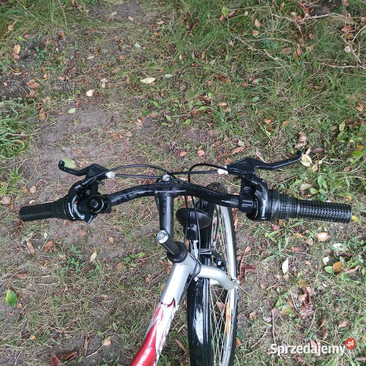 Rower Klauden Triumph GR 560 Olsztyn sprzedam