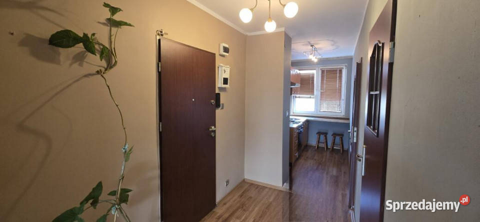 sprzedaży mieszkania Włocławek 40m2 2 pokoje