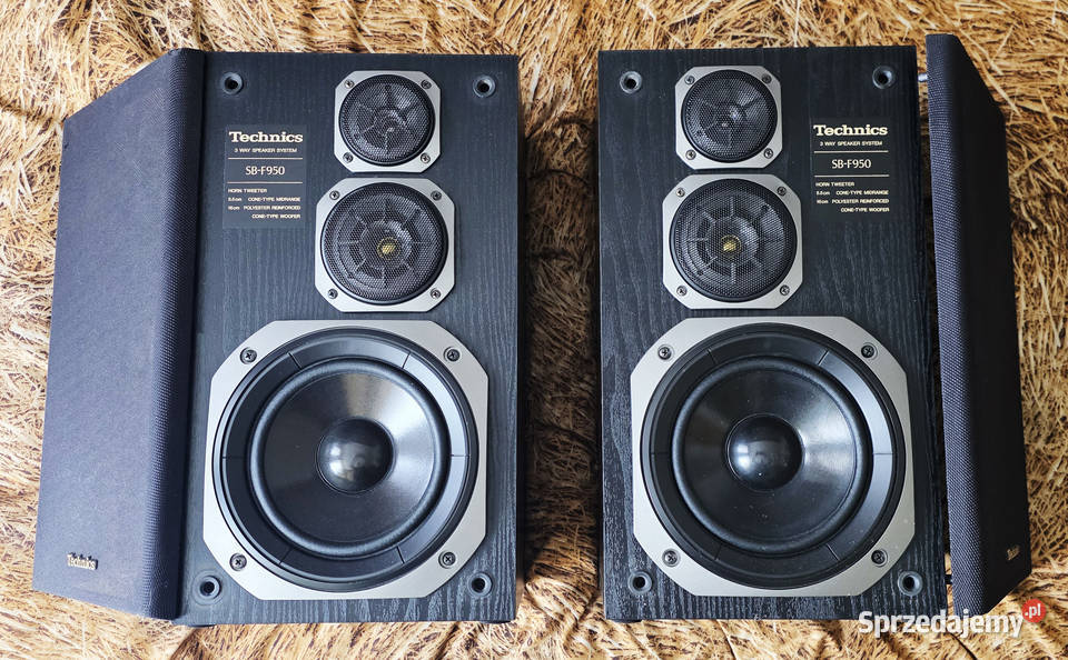 TECHNICS SBF950 120W8 Ohm maskownice Pasym