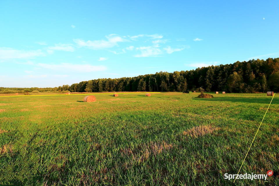 Działka łąka w pobliżu Białej Podlaskiej Danówka