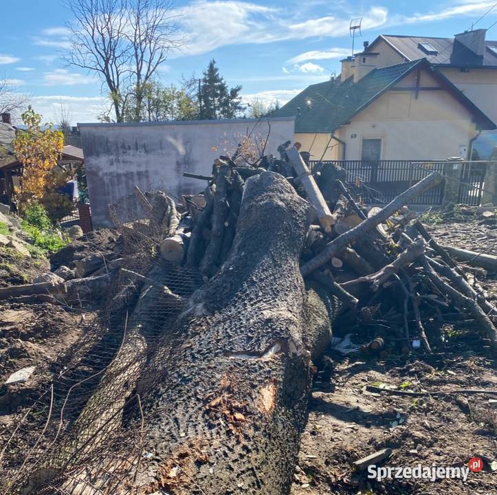 Drewno opalowe na opal jesion Rzeszów