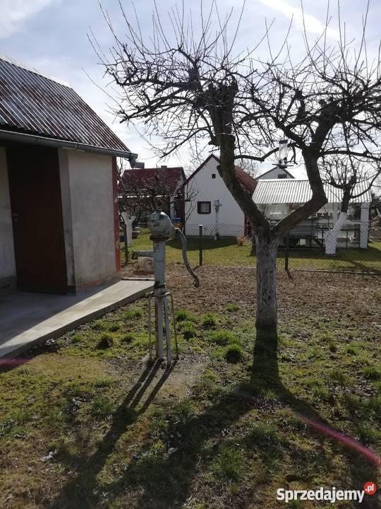 Sprzed ogródek działkowy polna Jelcz-Laskowice