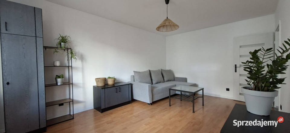 2 pokoje pierwszego Najemcy bez pośredników Katowice