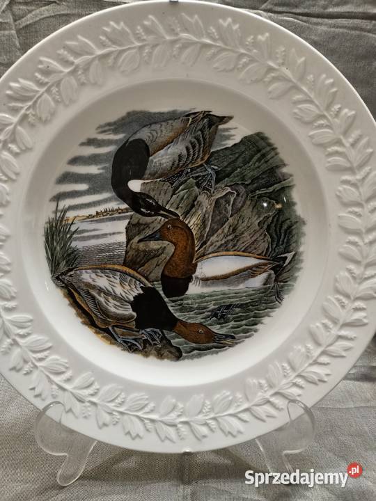 Talerz obiadowy burda America ilustra AUDUBONA Zamość