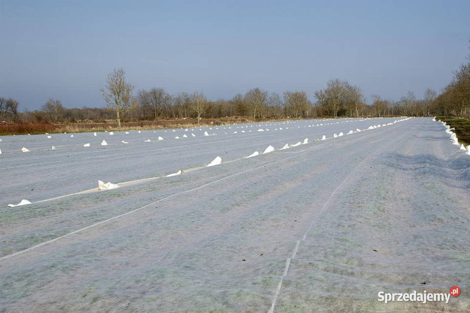 Agrowłóknina wiosenna biała 32x100m 23g Polska Cieśle