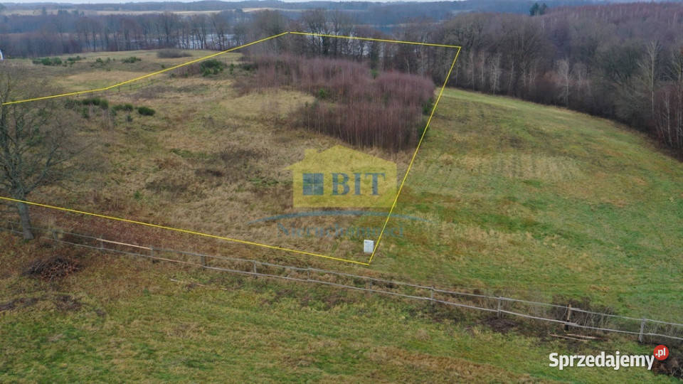 Działka 11041 ha jeziorem Ostrowiec Sprzedaż Borne