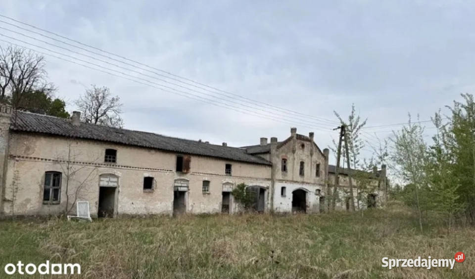 Zabytkowy zespół pałacowoparkowy z wyjątkowym Sprzedaż Człopa