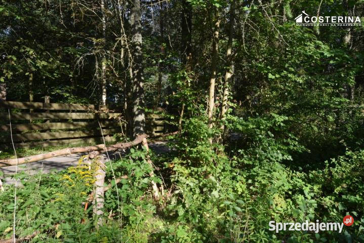sprzedaży domu wolnostojącego Gołubie 80m2