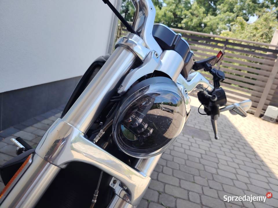 Harley vrod muscle zamiana Szprotawa