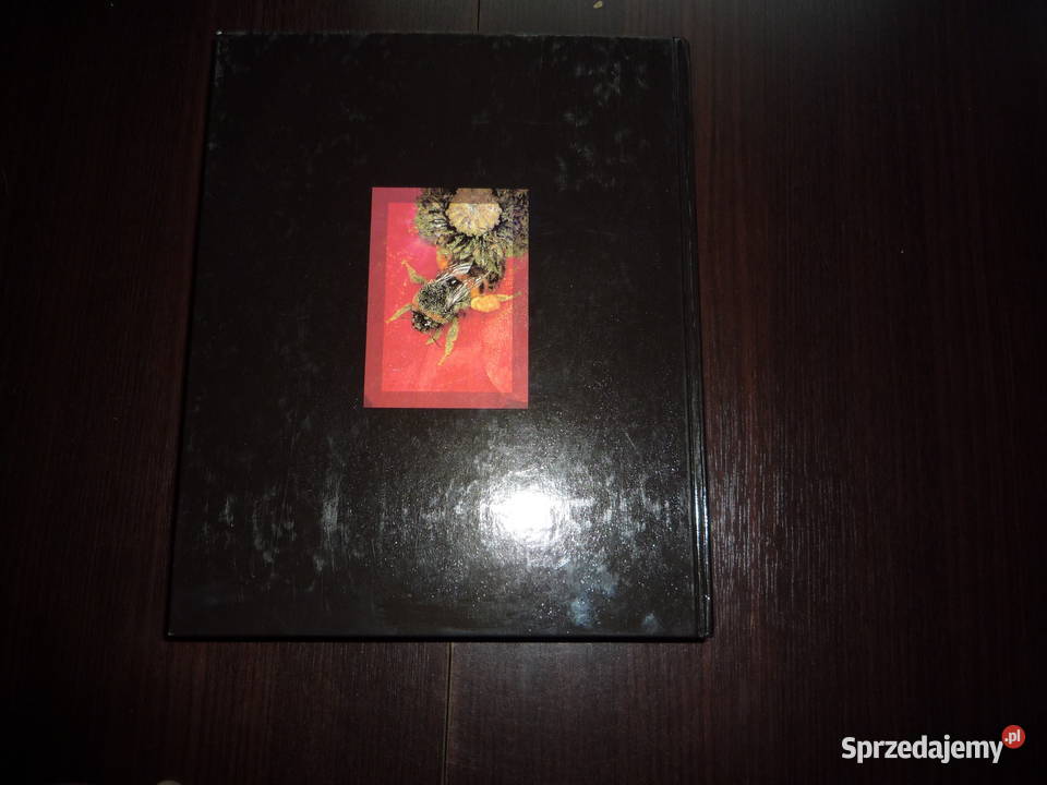 biologia berg martin villee podkarpackie Lutowiska